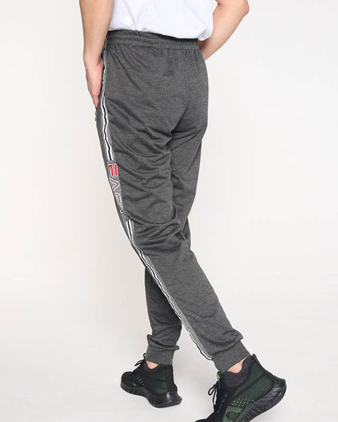 Темно-серые мужские спортивные штаны с лампасами - Одежда